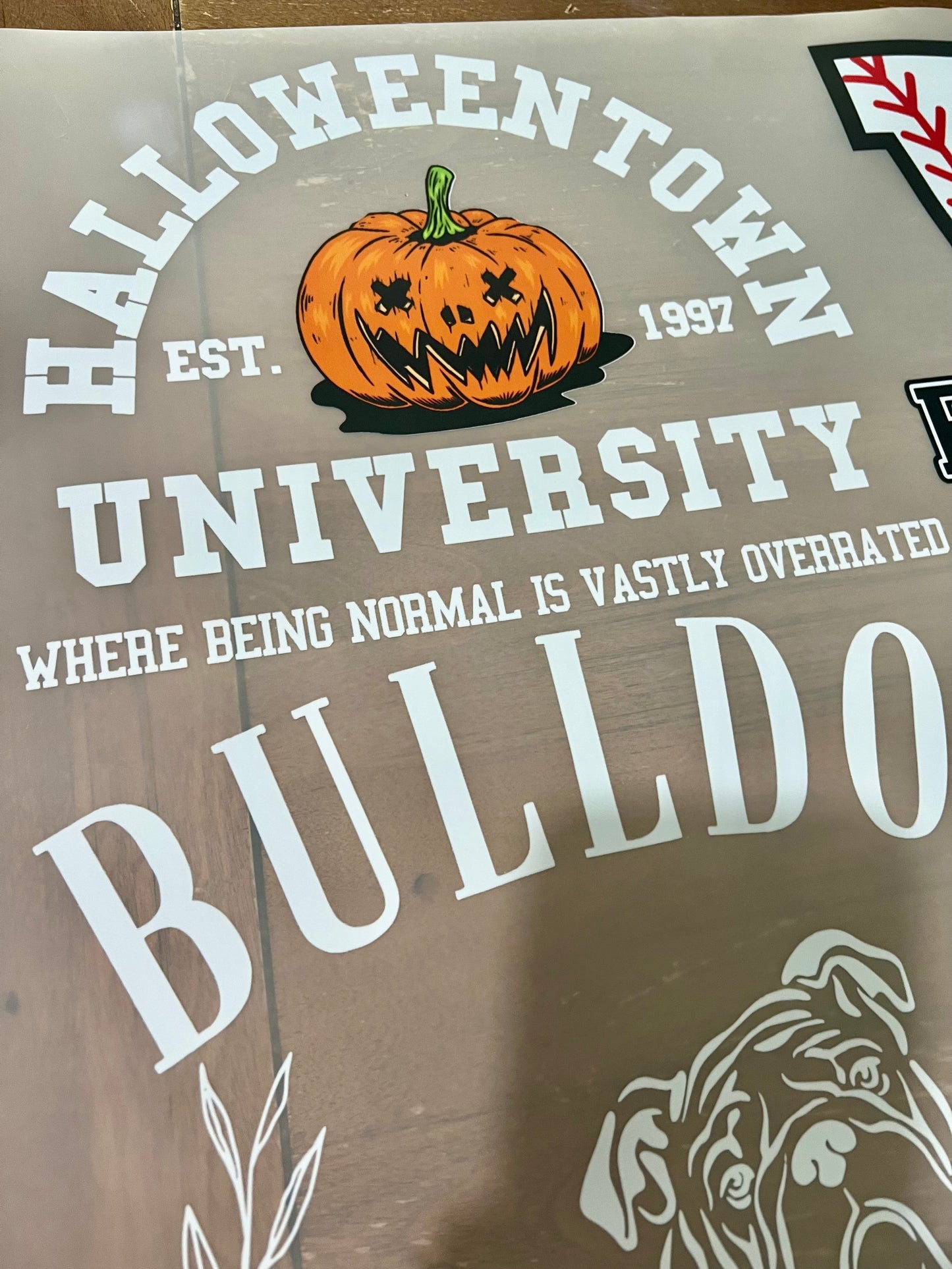 Fall/Halloween/Thanksgiving GRAB BAGS