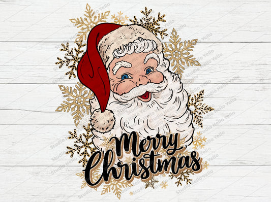Santa - Merry Christmas